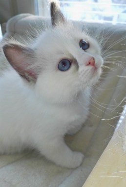 Emilie_IMG_20190111_122609